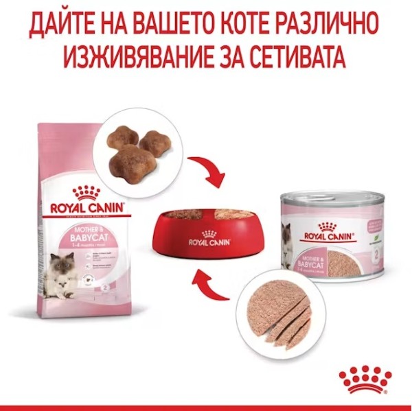 Royal Canin Mother and Babycat - Суха храна за бременни и кърмещи котки и подрастващи котенца от 1 до 4 месеца